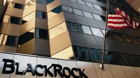Aanval op BlackRock: “Laat politiek over aan politici”