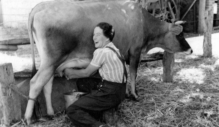 9 gezondheidsvoordelen van rauwe melk – Steun de Boer